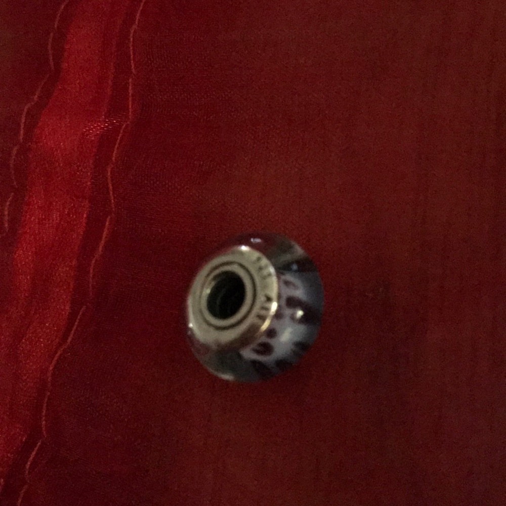 ⚛️Pandora Charm⚛️